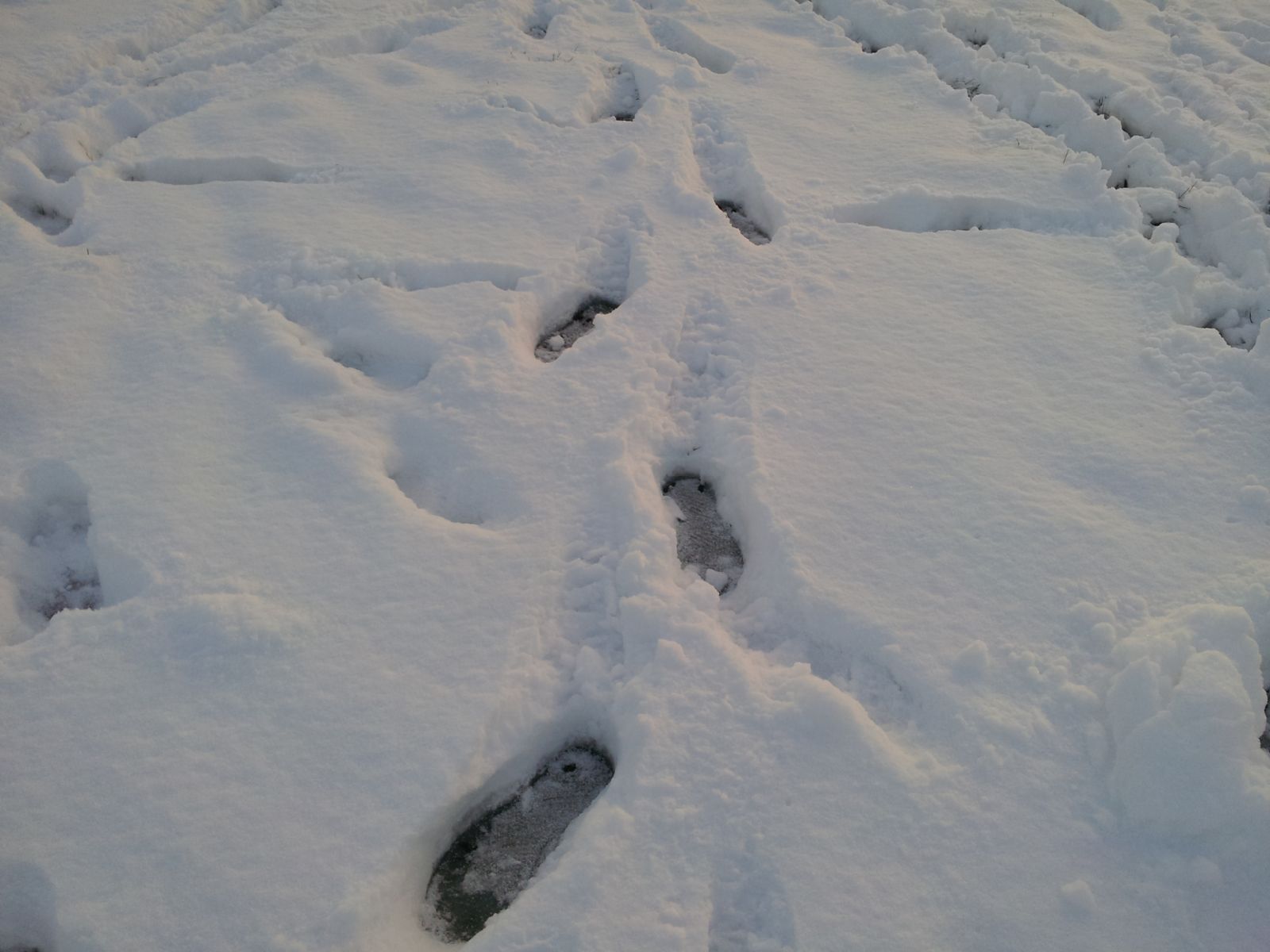 Snow in London